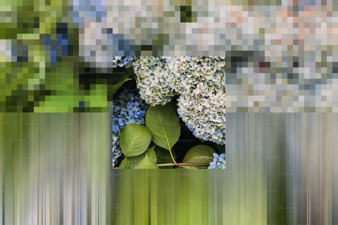 《献鱼》原著神交是什么意思？